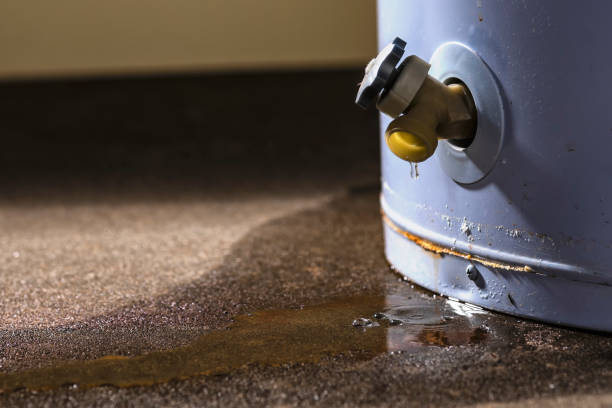 Local water damage restoration in Maynardville, TN