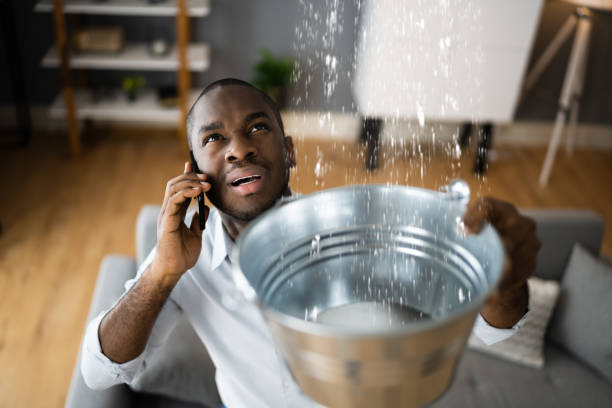 Trusted Maynardville, TN Water damage restoration Experts