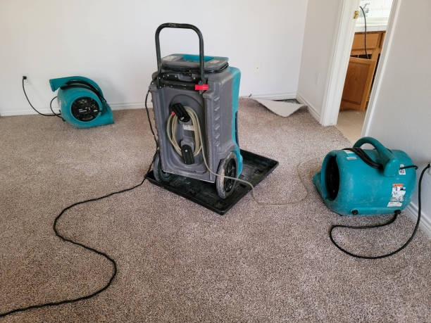 Best 24-hour water damage restoration  in Maynardville, TN