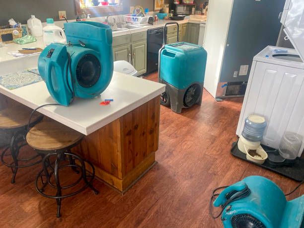 Best Water damage cleanup near me  in Maynardville, TN