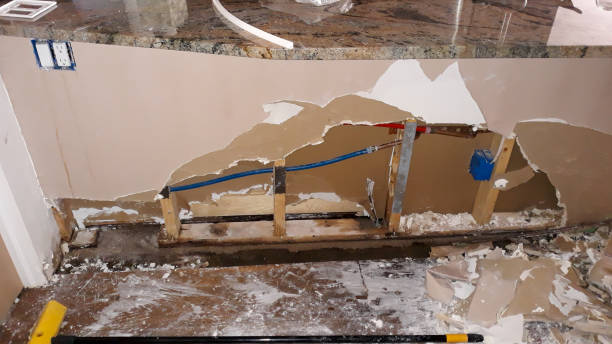 Best Fire Damage Restoration  in Maynardville, TN