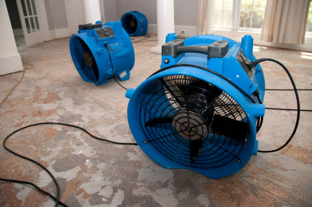  Maynardville, TN Water damage restoration Pros