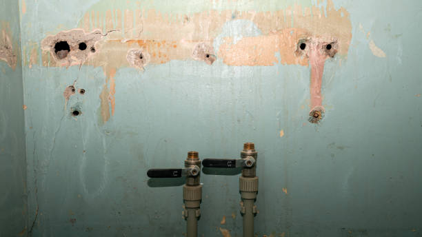 Best Emergency water damage restoration  in Maynardville, TN