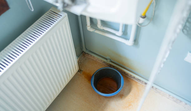 Best Water damage contractors near me  in Maynardville, TN
