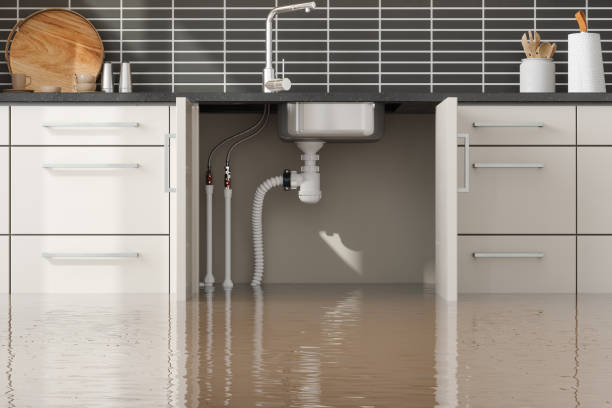 Best Residential water damage restoration  in Maynardville, TN