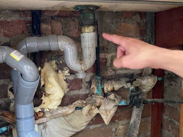 Best Water damage restoration near me  in Maynardville, TN